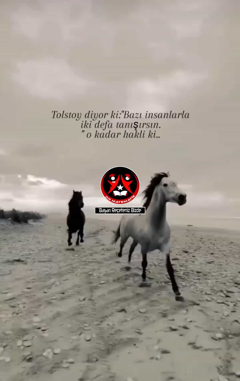 1 ekstralar (166).jpg